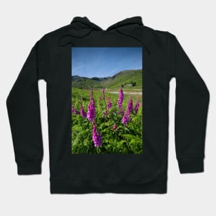 The Coniston Fells Hoodie